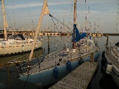 The Nele on sail